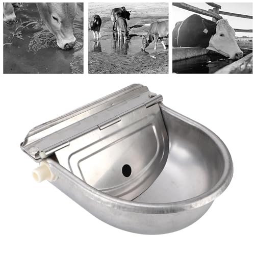 Tigela Automática de água Potável para Animais, Dispensador de água para Gado Em Aço Inoxidável Exte