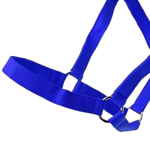 Licol Réglable pour Chevaux Accessoires De Spectacle Équestre Réglables – vue 6