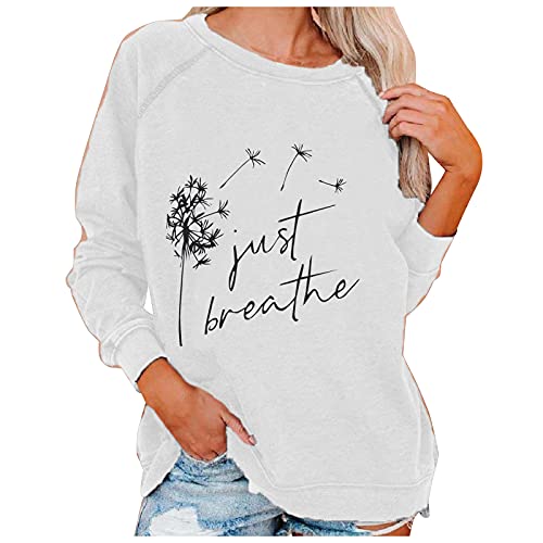 Raillery Womens Fashion Solid Color Print Sweaterlong Sleeve O Neck Blouse Loose Casual Tunic Tops #TOP2