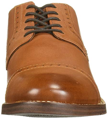 ▷ Nunn Bush Middleton Cap Toe Oxford 