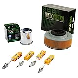 Luftfilter Hiflo DPR7EA-9:. Diese Luftfilter versichern ein perfektes Filtern der Ansaugluft. Einbauposition: hinten. Hersteller Luftfilter: Hiflo.