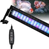 【Verstellbare Halterung】 Montieren Sie die Halterung am Lampengerät, befestigen Sie die Lampenhalterung am Fischglas, stellen Sie sie auf die richtige Höhe und den richtigen Winkel ein, schließen Sie das Netzteil an und schalten Sie sie ein ist so bequem, um den Beleuchtungswinkel fein einzustellen.