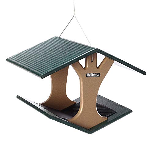 Birds Choice Snhft Fly-Thru Feeder, Recycled Hanging Bird Feeder, Medium, Taupe/Green #TOP3