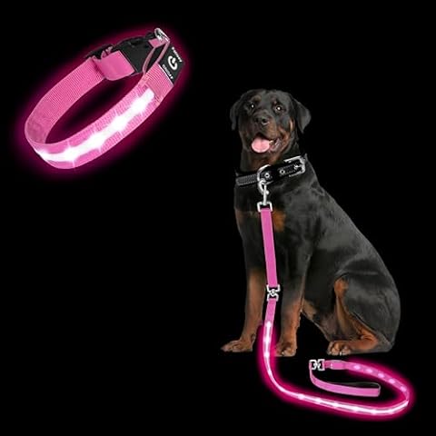 PetIsay Light up Dog Collar(Pink, Medium) & Light up Dog Leash(Pink, 6Ft) - PetIsay Light up Dog Collar - High Visibility & Durable Nylon Material - USB C Rechargeable & Waterproof Cover
