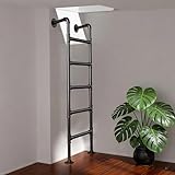 Industrielle Universal-Leitern, Schwarze wandmontierte Dachbodentreppen, Fensterloch-Rettungsleiter, Kletterleiter für Wohnheim, Bibliothek, Terrasse und Keller, Tragfähigkeit(100cm/39in)