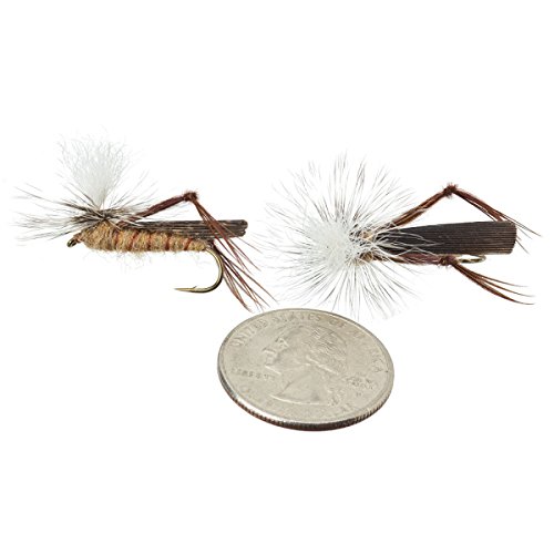 Umpqua Parachute Hopper Tan Size 12 - 2 Pack #TOP1
