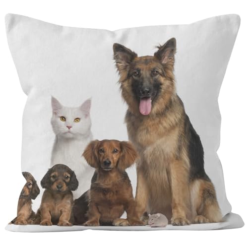 Ethereval Tissu De Lin Housse Coussin Humour Taie d'oreiller Long 1Pcs, Chats Et Chiens Animaux pour Salon Jardin La Reine des Neiges Housses 45x45cm