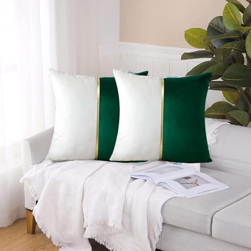 Image of HIMS Velvet Sofa Pillow Cover Set of 2, Luxury Cushion Cover 12 inch x 12 inch for Decorative Living Room Sofa Bedroom Car (12x12 Inch, Green)