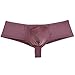 JAXU Men's Elastic Spandex Thong Boxer Shiny Boxers Briefs Guys Pants Sexy Men Pouch Underwear Coffee XL