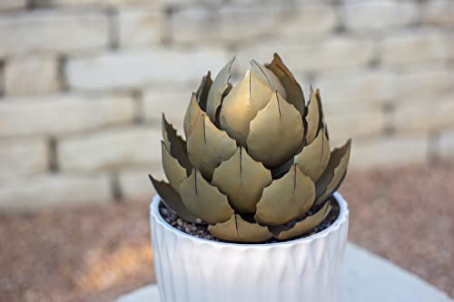 Desert Steel Succulent Parent (Artichoke, Small) #TOP1