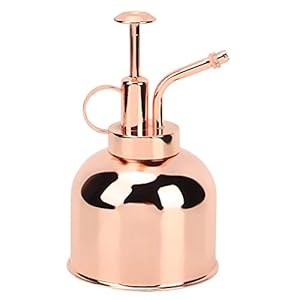 Mini Plant Mister roestvrijstalen plantenspuitfles voor binnen bonsai vetplanten, rose goud