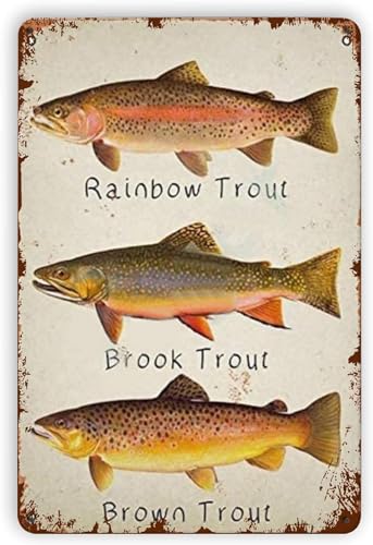���j�W�}�Xbrook Trout�u���E���g���E�g �A�[�g���[�N�T�C�����Ԃ牺�������v���[�N���� �ɂƂ��� ���O �p�[�e�B �j�̓��A �_�� 20X30 CM�C���`