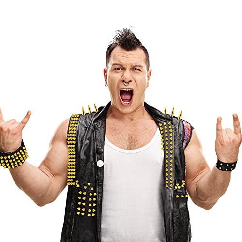 image for Hicarer 170 Pieces Multiple Sizes Cone Spikes Screwback Studs Rivets L