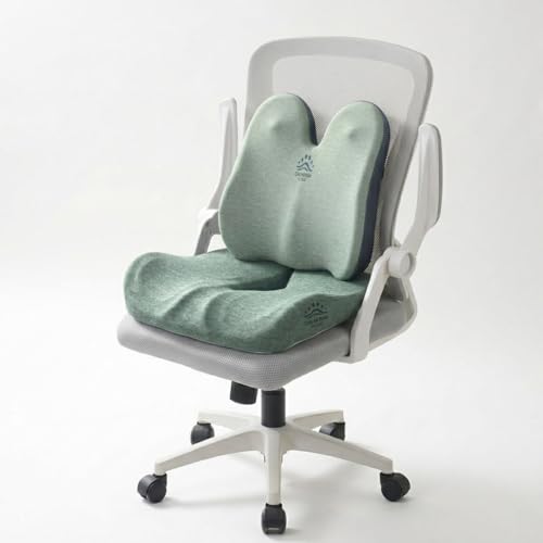 CALMORAN HOME Seat Cushion Lumbar Support Pillow Set with Adjustable Strap
