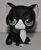 Littlest Pet Shop Kitten Longhair #55 (Black, Green Eyes, White Nose & Chest (Tuxedo), Cat) 2004 (Retired) Collector Toy - LPS Collectible Replacement Single Figure Loose (OOP Out of Package)