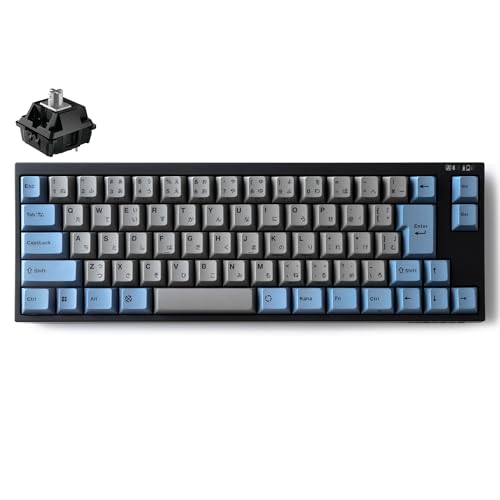 LEOPOLD FC660MBT GRAYBLUE Bluetooth/USB-C {z ȗL L[tRpNg 65% 70L[ XCb`zbgXbvΉ Windows/macOS P4dr쓮 ŐVCHERRY MX2AXCb` (FC