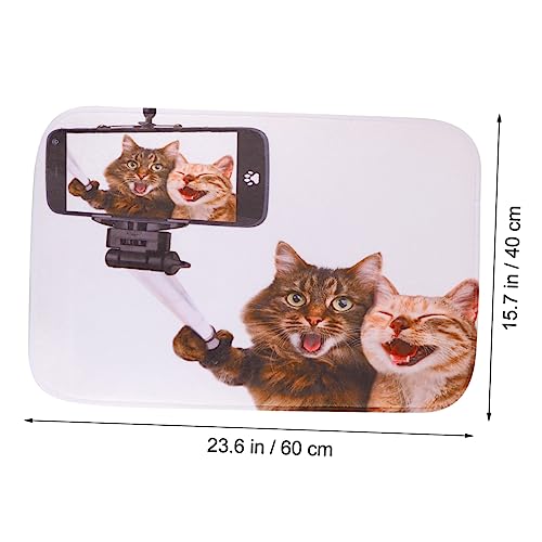 Alfombra para puerta delantera de gato: juego de 3 piezas para un hogar acogedor 3