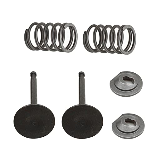 Engine Intake Valve Exhaust Valve Seals Springs Kit Engine Valve Set Cylinder Head Intake and Exhaust Valve Seal Spring Kit for Honda GX160 GX200 168F 170F 5.5HP-6.5HP