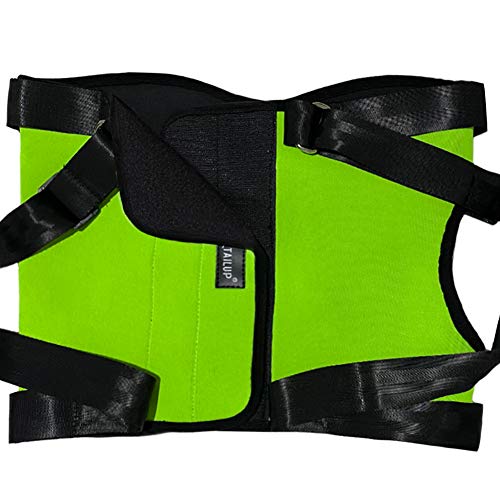 Creation Core Dog Lift Rehabilitation Support Harness Assist for Elderly Disable Joints Surgery(Red,28-35Kg) - Thumbnail 5