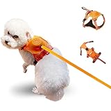 2 in 1 Funktion: Hundegeschirr & einziehbare Hundeleine in einem machen es einfacher für Sie, Ihren Hund zum Laufen zu bringen, Ihre Hände völlig frei zu machen und Spaß mit Ihrem Hund zu haben.