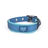 Good Scout Padded Heavy Duty Dog Collar for Puppies & Adult Dogs, Blue/Sky, Medium