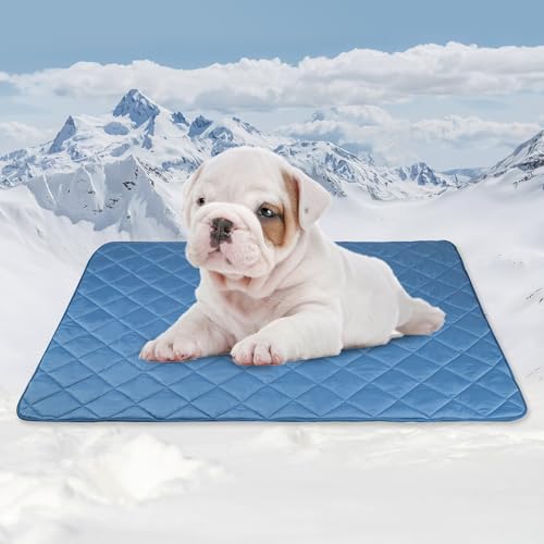 Tuiskusa Premium Cooling Blanket for Dogs Pet Cooling Pads Washable Pet Cool Mat for Cats Hot Weather Puppy Lightweight Throw Calming Pad(28x40 inches)
