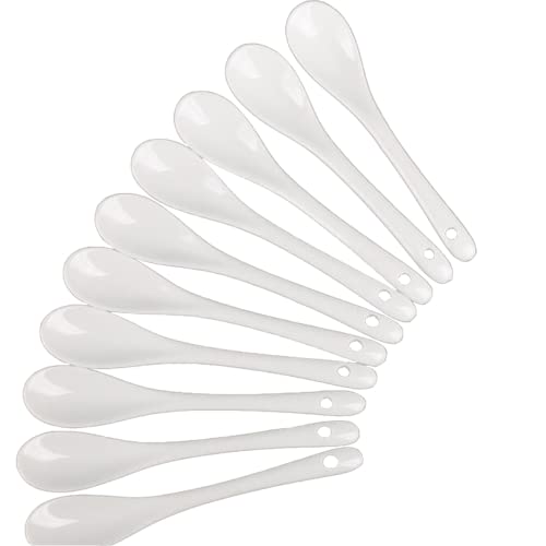 5Inch 6Inch Japanese Ceramic Spoon Salt Coffee Mini White Sugar Dessert Dinner Soup Spoons 10Pcs Packed White Color (13Cm, 10) #TOP9