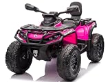 Quad Elettrico per Bambini 24V 2 Posti Can-Am Renegade ATV, 4 Motori, Ruote in Gomma EVA, ...