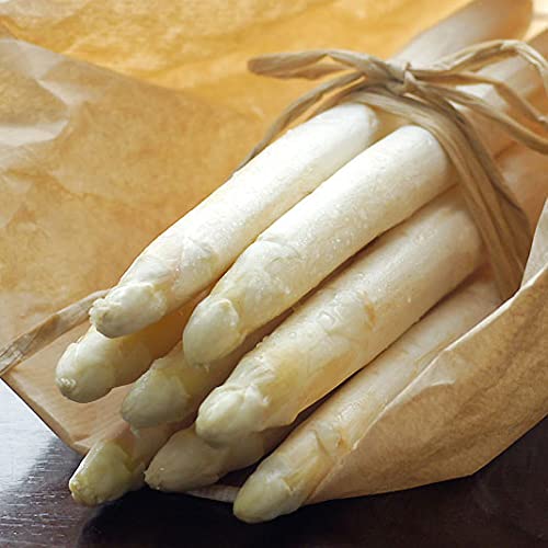 C^AY@zCgAXpKX 1000g Tj