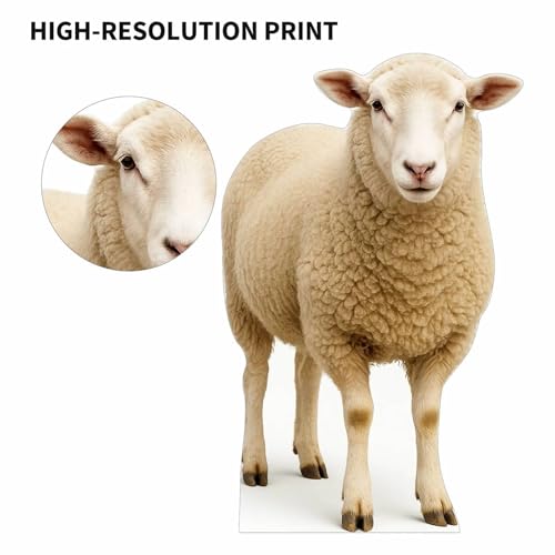 Image of Sheep 2FT Life Size Cardboard Cutout - A Fun Animal Standup for Photo Booths, Birthday Parties, and Events