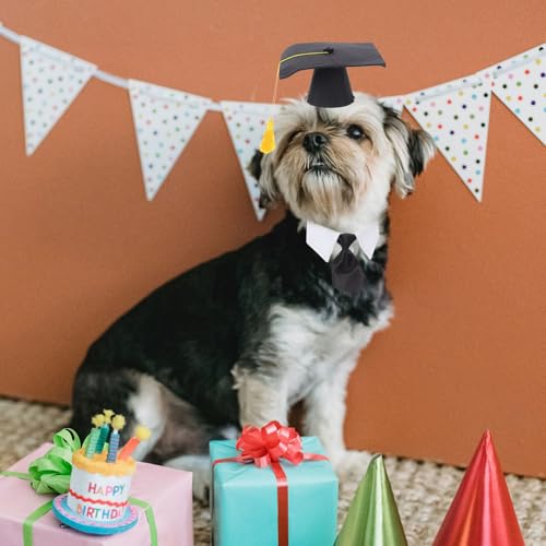 Sombrero y corbata de graduación para mascotas miniatura 3
