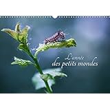 L'année des petits mondes 2019: À la découverte des insectes du jardin (Calvendo Nature)