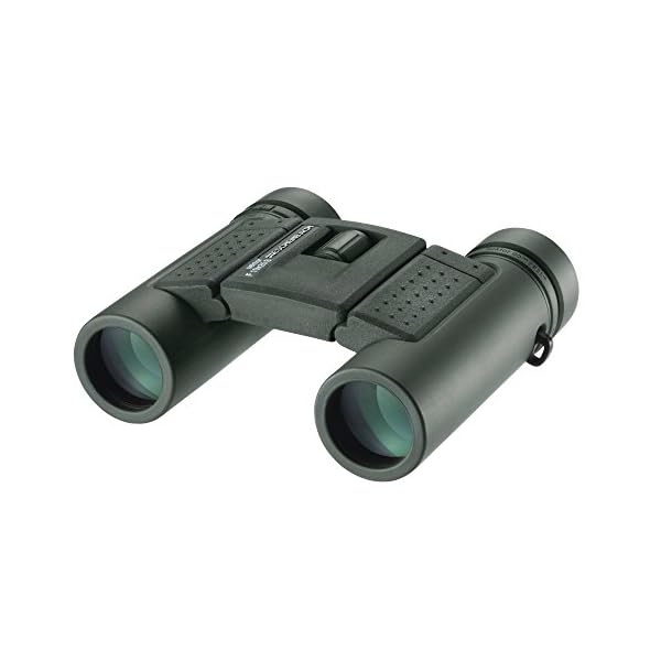 Eschenbach Optik Fernglas sektor F 10x25 compact+, faltbar, wasserdicht, grün – Bild 3