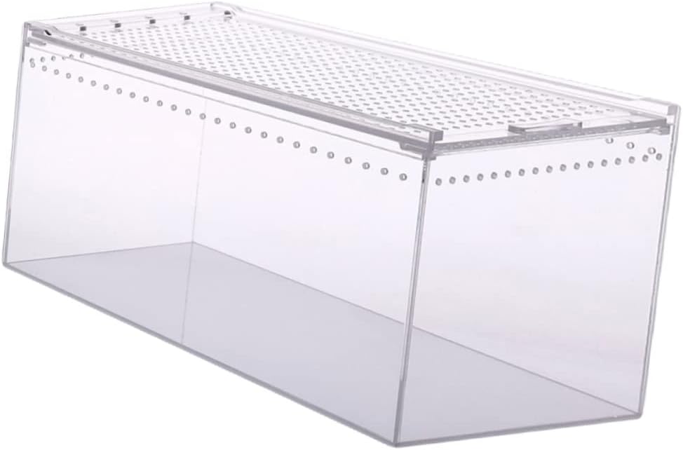 Reptile Carrier Terrarium for Reptiles Large Space Climbing Pet Box Leak Case for Crab