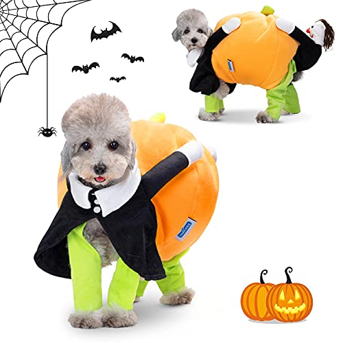 48 Meilleur deguisement halloween chien en 2022 [Basé sur 423 avis]