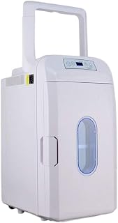 Car Refrigerator-Car Mini Small Refrigerator Dual-use Student Dormitory Rental Home