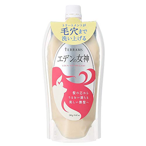 Ishizawa Terams Eden Goddess Hair Shampoo in Treatment 280g (Green Tea Set)