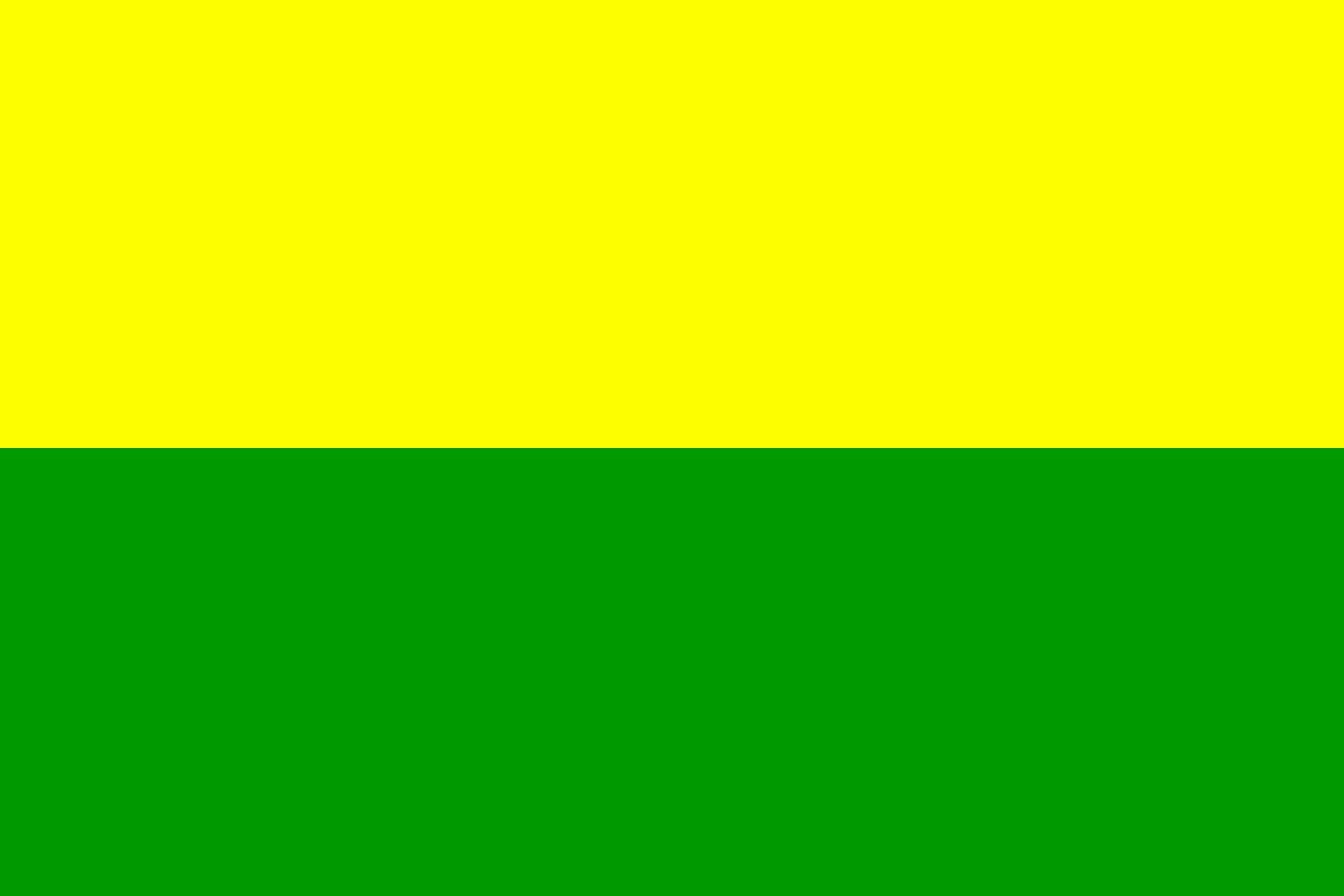Drapeau de La Haye grand format Den Haag de qualité pour mât