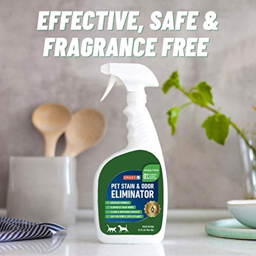 DROXY Eliminador de odores e manchas de animais de estimação – Produtos de limpeza seguros – Limpado