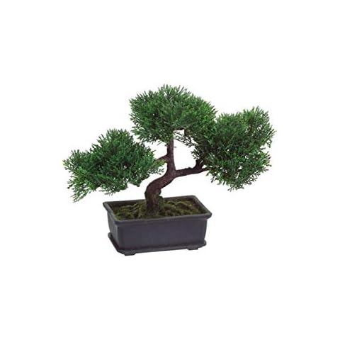 Mini Artificial Cedar Bonsai Tree House Plant - 9" Tall Cover