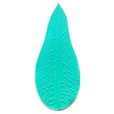 W OF S A SCOTT CLARK WOOLLEY