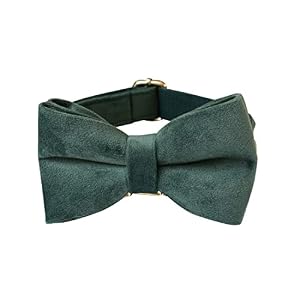 Velvet Dog Collar Personalized with Name Phone Number Engraved, Custom Pet Collars with Metal Buckle(Green, S) Velvet Dog Collar Personalized with Name Phone Number Engraved, Custom Pet Collars with Metal Buckle(Green, S)