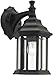 Forte Lighting 1715-01-04 Exterior Wall Light with Clear Beveled Glass Shades, Black