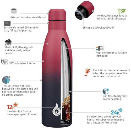 Image of BJPKPK 25oz Insulated Stainless Steel Water Bottles Reusable Metal Travel Sports Water Bottle Keep Cold and Hot,Charming Black Red