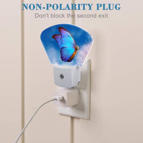 Image of Beautiful Blue Butterfly Night Light, Dandelion Nightlight Plug into Wall with Dusk to Dawn Sensor for Kid Girls Boys Women Men Bedroom, Hallway, Kitchen, Bathroom, Stairs Decor