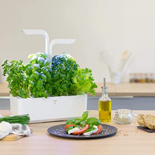 Véritable® Classic (bianco) - Orto da interno Made in France - Il giardino autonomo intelligente viene fornito con 4 Lingots® - Image 3