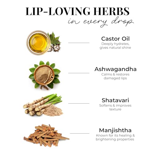 Just Herbs 4 IN 1 Lip Gloss for Women - Image 6