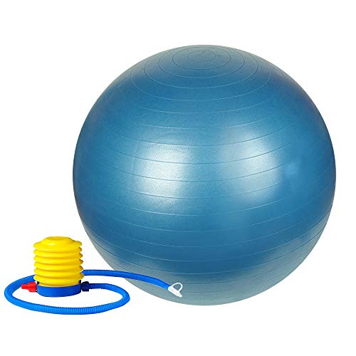 Sunny Health & Fitness Anti-Burst Gym Ball #TOP26