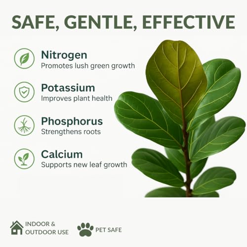 Fertilizante Líquido Premium para Plantas Fiddle Leaf Fig 8oz miniatura 7