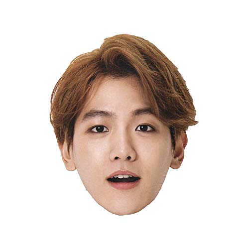 Magnet Baekhyun Head Car Magnetic Vinyl Bumper Sticker 5'' x 4''